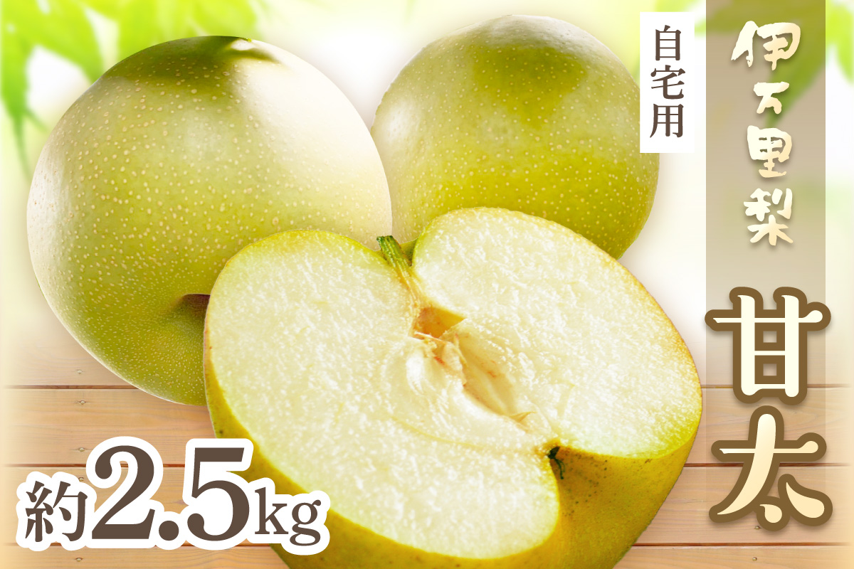 【2026年産先行予約】伊万里梨 「甘太」 約2.5kg ご自宅用におすすめ 178-B1072