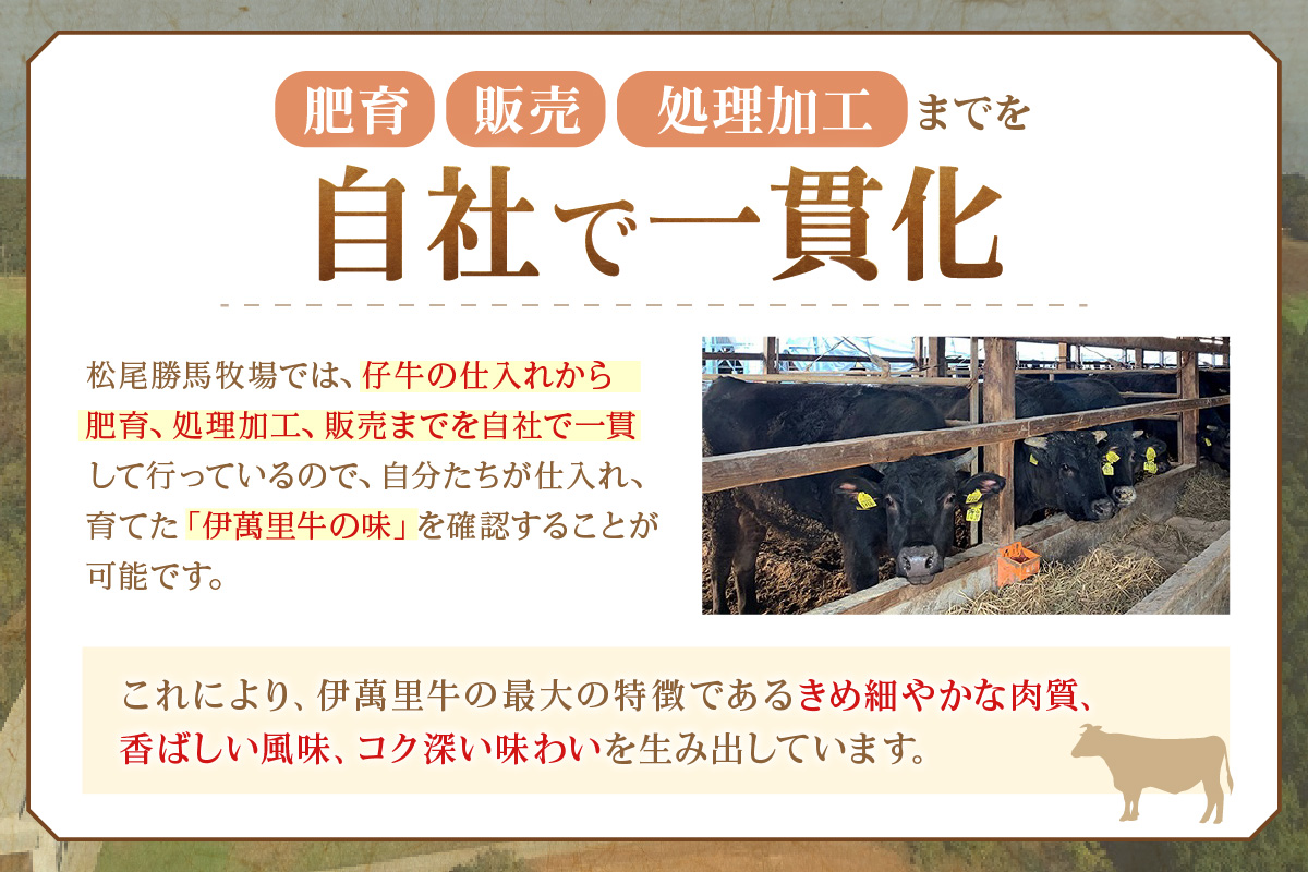 【伊萬里牛100%使用】 伊万里牛ハンバーグとローストビーフセット 007-J2125