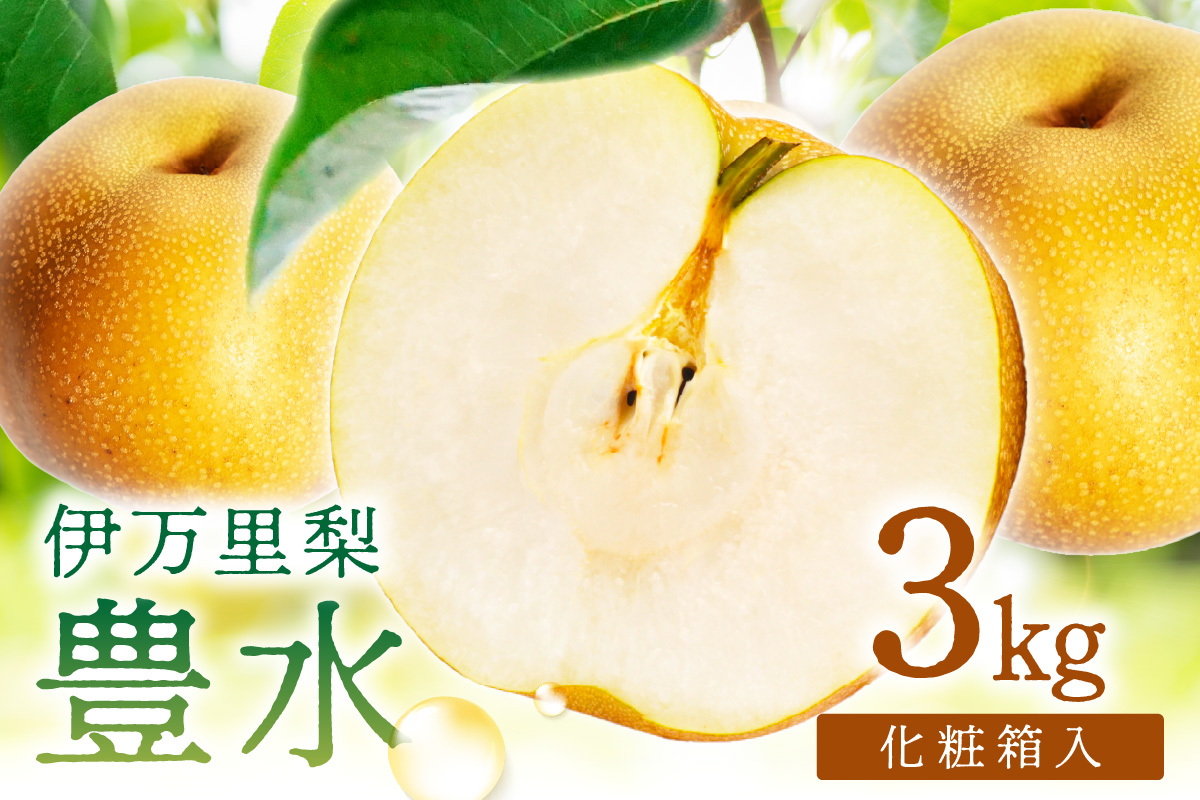 【 数量限定 】 伊万里 梨 豊水 3kg 化粧箱 199-B1084