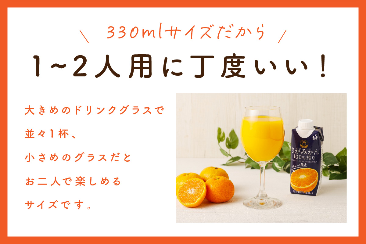 【佐賀県産温州みかん使用】 みかんジュース さがみかん100%搾り 330ml×12本入り 2箱セット 173-A067