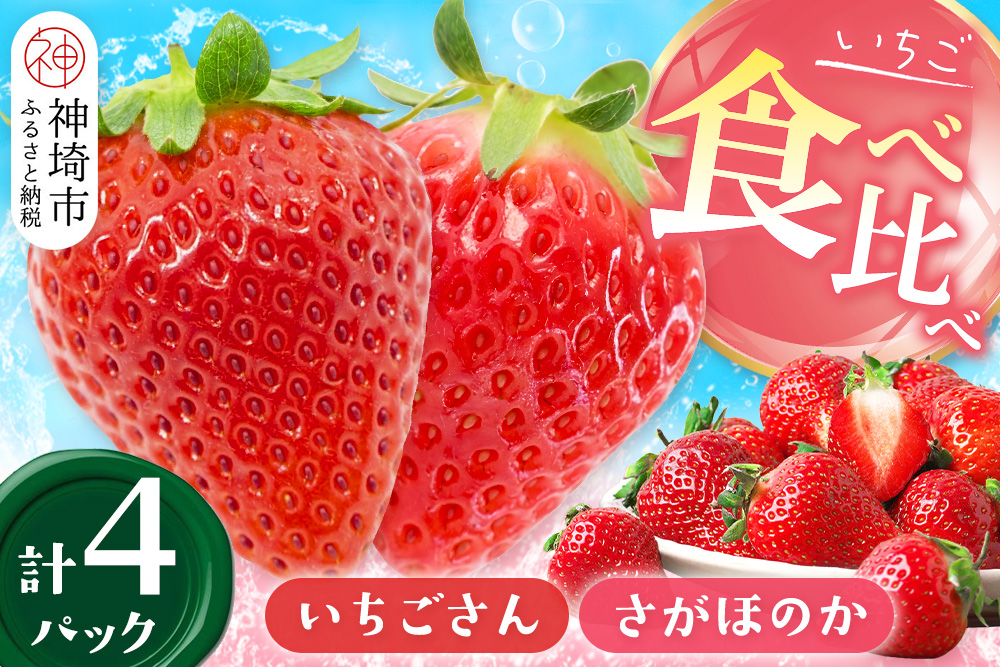 【2027年1月中旬より発送開始】苺(さがほのか・いちごさん)各2パック【果物 くだもの フルーツ イチゴ 佐賀】(H116136)