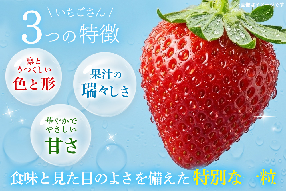 【2027年1月中旬より発送開始】いちごさん4パック【果物 くだもの フルーツ イチゴ 苺 佐賀】(H116133)