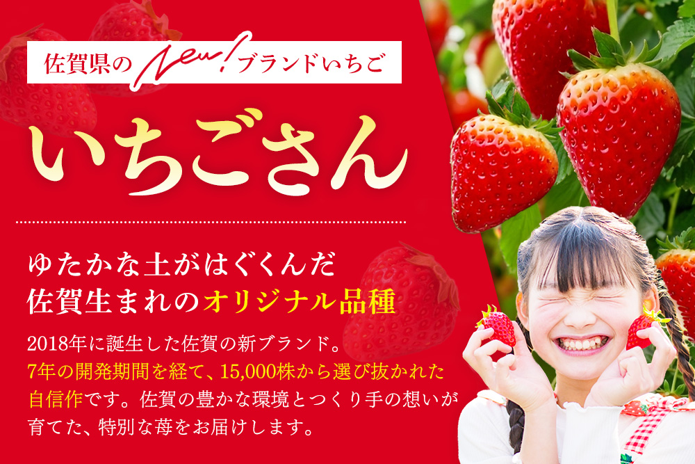 【2027年1月中旬より発送開始】いちごさん4パック【果物 くだもの フルーツ イチゴ 苺 佐賀】(H116133)