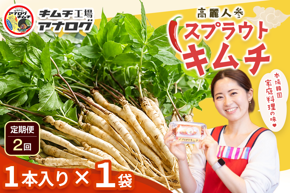 【2カ月定期便】熟成秘伝の高麗人参スプラウトキムチ(1本入り×1袋)【エナキム 健美キムチ 健康志向 熟成キムチ ご飯のお供 発酵食品 手作り 辛味控えめ 国産素材】(H104183)