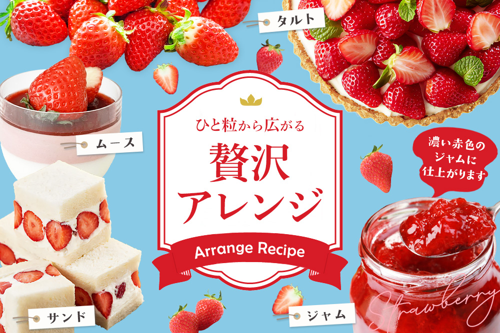 【2027年1月中旬より発送開始】いちごさん4パック【果物 くだもの フルーツ イチゴ 苺 佐賀】(H116133)