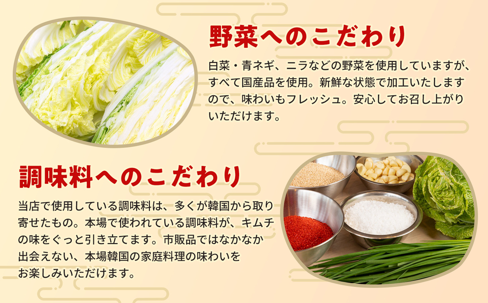 【6カ月定期便】熟成秘伝のオイ(きゅうり)キムチ(100g×2パック)【きゅうりキムチ 発酵キムチ 本格キムチ 国産手作り ご飯のお供 国産きゅうり 九州産 旨辛 特製ダレ】(H104199)