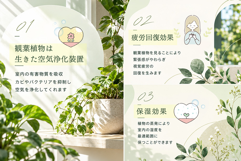 オリジナルアレンジ観葉植物　Lサイズ【寄せ植え インテリア リビング 室内 グリーン 植物 癒し リフレッシュ】 (H086106)