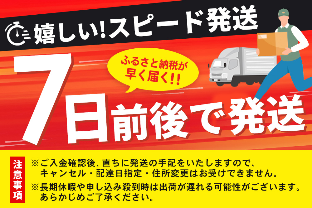 【スピード発送】冷凍いちご 3kg（いちごさん)【佐賀県産 ブランド 冷凍いちご フレッシュ 冷凍フルーツ スムージー デザート お菓子作り シャーベット 甘い みずみずしい 無添加】(H126103)