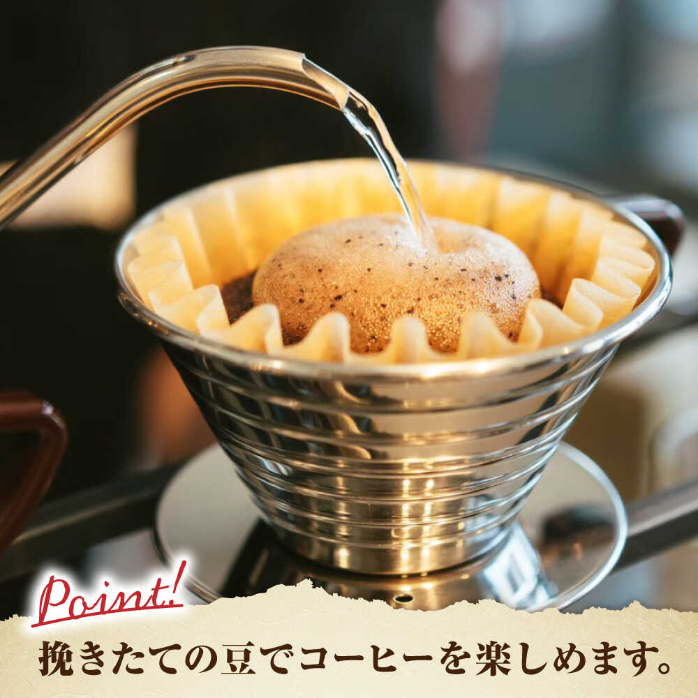 「THE BEST」コーヒー 豆 150g オリジナルブレンド 自家焙煎 吉野ヶ里町/OK COFFEE Saga Roastery [FBL099]