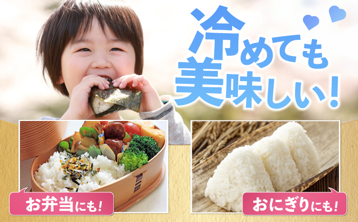 【全6回定期便】特A獲得！さがびより無洗米 6kg　総計36kg 吉野ヶ里町/大塚米穀店 [FCW036]