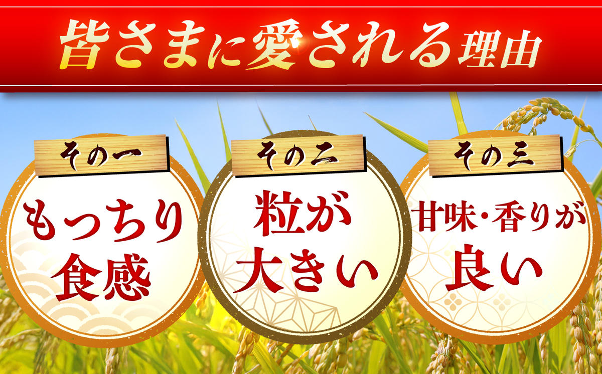 さがびより 30kg（5kg×6袋）【令和7年産】吉野ヶ里町 / 株式会社増田米穀 [FBM042]