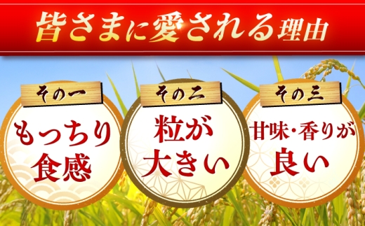 【10kg✕2回定期便】【令和7年産】さがびより 計20kg（5kg✕2袋）吉野ヶ里町/増田米穀 [FBM049]