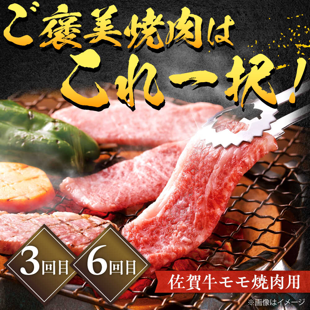 【全6回定期便】佐賀牛 赤身 お一人様ご褒美定期便 計1.4kg（ヒレステーキ・モモスライス・モモ焼肉）吉野ヶ里町/やま田商店 [FCH029]