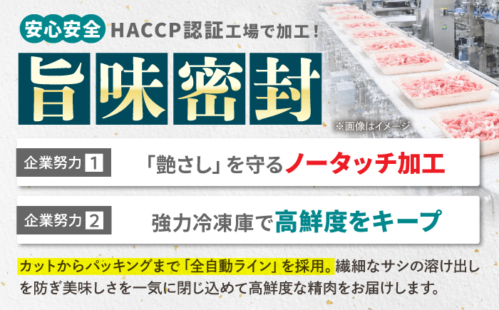 【不揃い訳あり・部位おまかせ】佐賀産和牛 切り落とし 肩orバラ 計1.2kg（600g×2） 吉野ヶ里町 [FDB001]