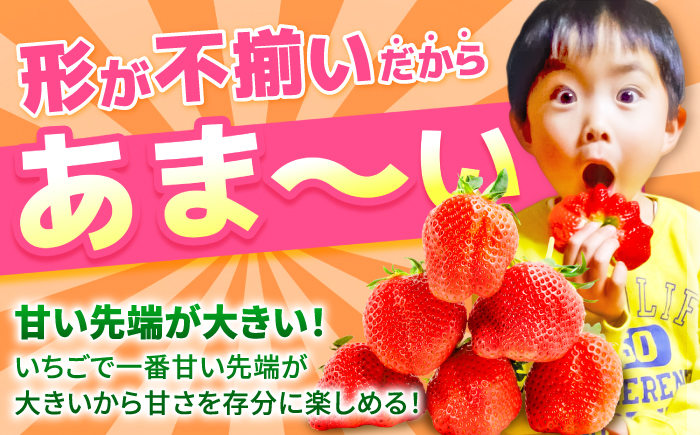 【限定数量】【12月～4月発送】いちごさん 約800g（約200g×4P） 吉野ヶ里町/TZファーム [FDF001]