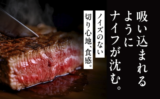 【最短7営業日以内発送】佐賀牛 ステーキ 食べ比べ　ヒレ(B級品)200g×2 ＋ サーロイン250g×2　お試しセット 計900g 訳あり 吉野ヶ里町 / 丸宗ミート [FDP031]
