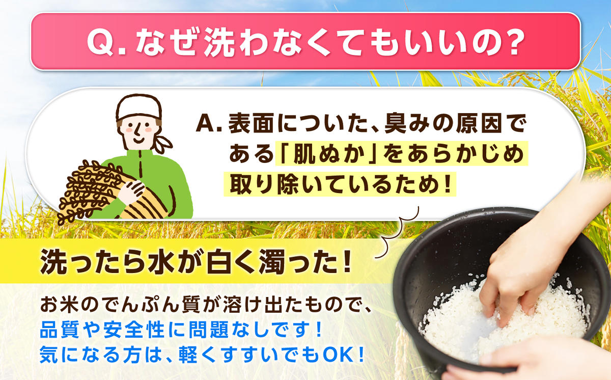 特A獲得！さがびより 無洗米 20kg 吉野ヶ里町/大塚米穀店 [FCW040]