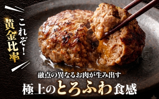 【全5回定期便】 佐賀牛入り 黒毛和牛ハンバーグ 1.4kg（140g×10個） がばいばーぐ 吉野ヶ里町/石丸食肉産業  [FBX057]