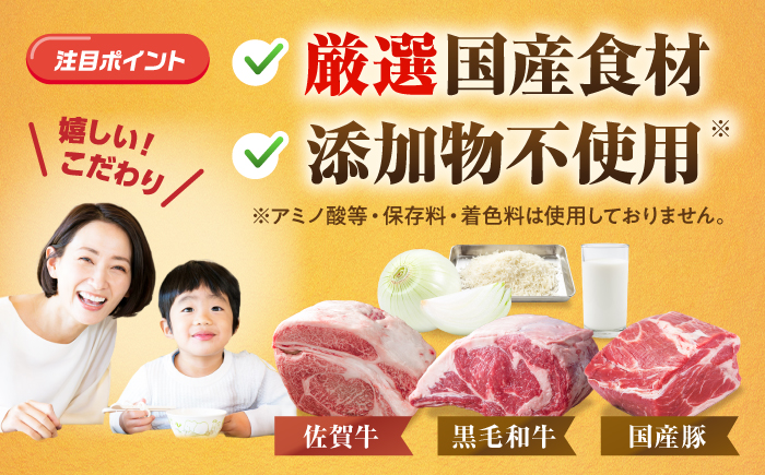【全6回定期便】佐賀牛入り 黒毛和牛ハンバーグ 1.4kg (140g×10個) がばいばーぐ 吉野ヶ里町/石丸食肉産業  [FBX041]