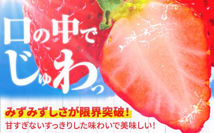 【限定数量】【12月～4月発送】いちごさん 約800g（約200g×4P） 吉野ヶ里町/TZファーム [FDF001]