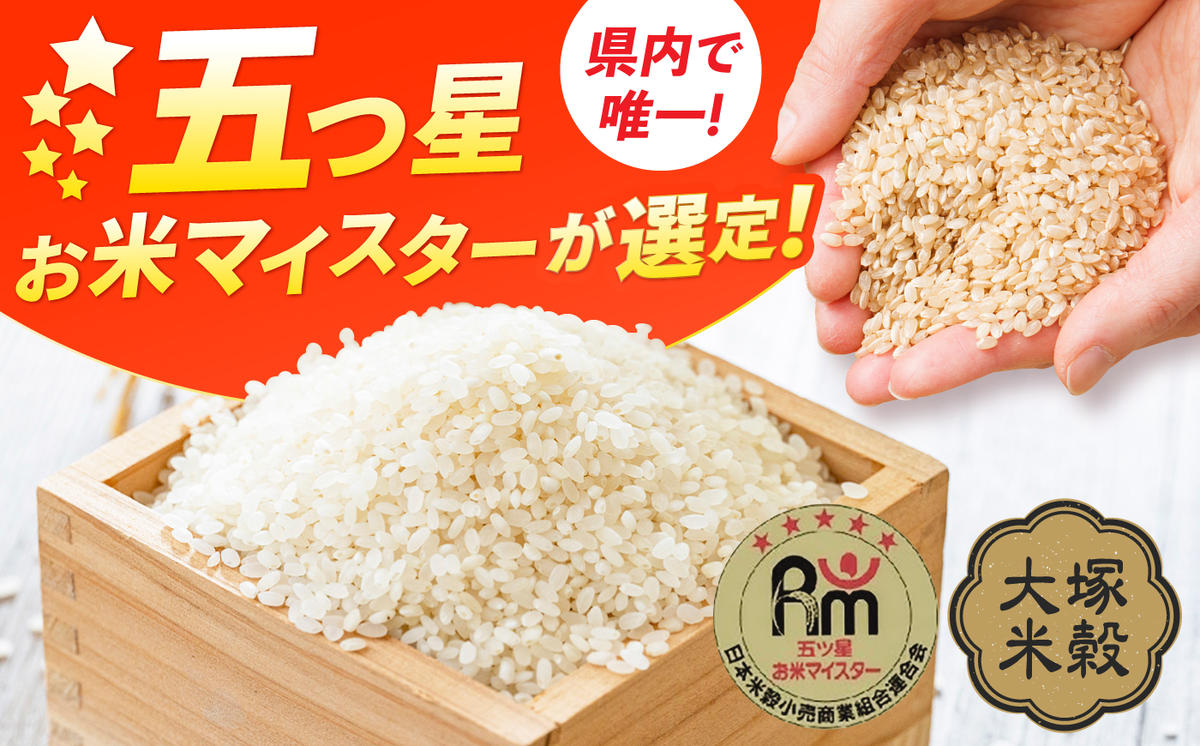 特A獲得！さがびより 無洗米 20kg 吉野ヶ里町/大塚米穀店 [FCW040]