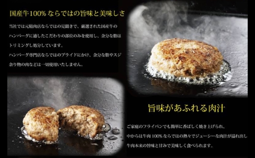 おやじのつくったハンバーグ 200g×5個 佐賀牛 ハンバーグ 吉野ヶ里町 / 雄勝 [FDW002]
