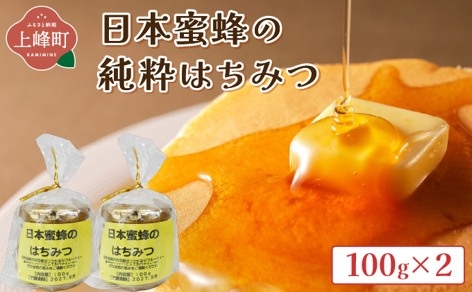 日本蜜蜂の純粋はちみつ 100g×2 B-1191-HB