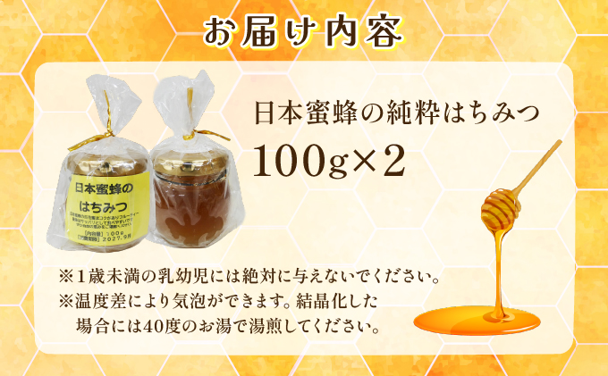 日本蜜蜂の純粋はちみつ 100g×2 B-1191-HB