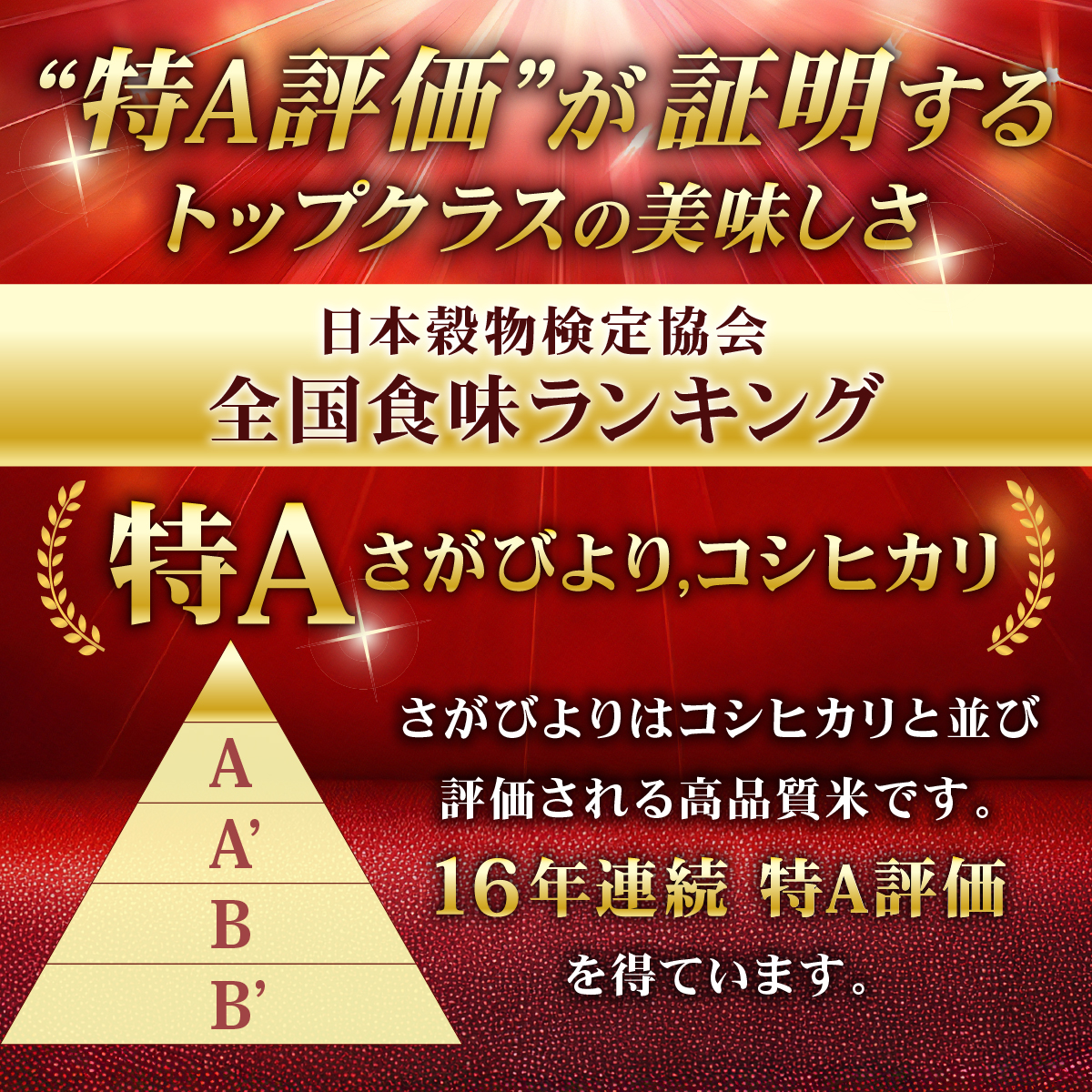 《10月下旬順次発送》令和8年産 新米 さがびより 佐賀県産（精米）10kg