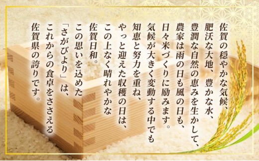《最短(3〜5営業日)発送》令和7年産 さがびより 佐賀県産（精米）5kg
