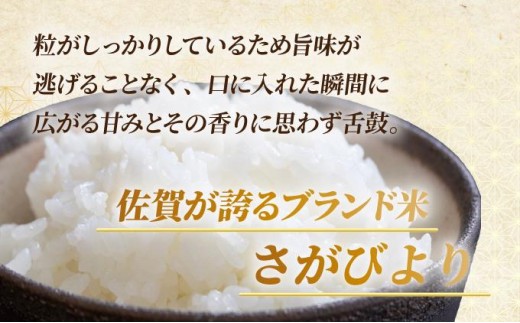 《最短(3〜5営業日)発送》令和7年産 さがびより 佐賀県産（精米）20kg