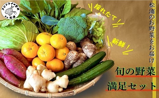 道の駅松浦海のふるさと館『旬のお野菜』の大満足セット！【004-0003】