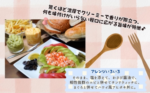 完熟国産アボカド「御厨(みくりや)アボカド」2玉～3玉【149-0002】
