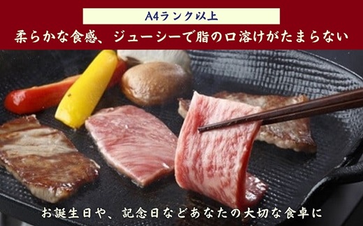 松浦食肉組合厳選A4ランク以上 極上！長崎和牛肩ロース焼肉用500g【102-0002】