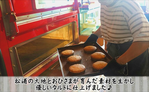 松浦産オレンジ・さつまいもを使用したチーズタルトとスイートポテトタルトセット【104-0001】