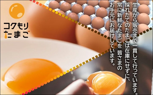 養鶏場直送！松浦の赤たまご『コクもりたまご』大きめサイズ70個+破卵保障10個【135-0002】