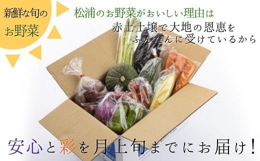 米5kgと卵20個付き！野菜の詰め合わせ定期便10回(上旬)【定期便】【K00-009】