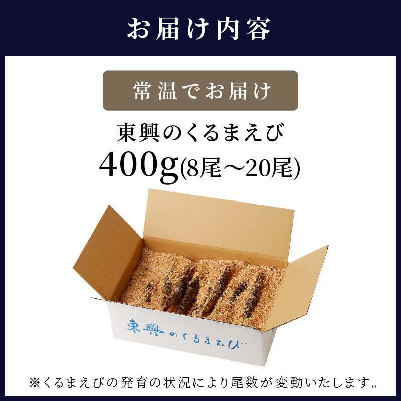 【宅配BOX不可】東興のくるまえび400g入【1月発送】( くるまえび 東興のくるまえび 車海老 海老 エビ )【116-0001-01M】