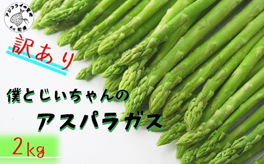 訳ありご家庭用に大活躍！僕とじいちゃんのアスパラガス2kg ( 訳あり 不揃い アスパラガス 大容量 新鮮 朝採れ 野菜 生産者直送 )【158-0001】