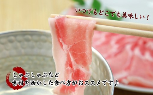 長崎県産豚ロースしゃぶしゃぶ用800g( 長崎県産豚 豚ロース 薄切り しゃぶしゃぶ 生姜焼き 豚肉巻き )【111-0002】