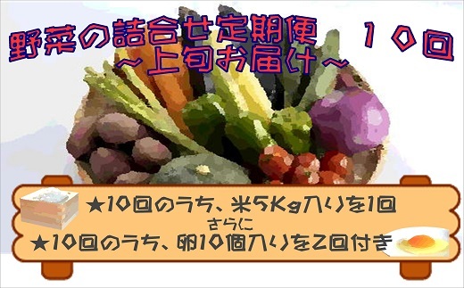 米5kgと卵20個付き！野菜の詰め合わせ定期便10回(上旬)【定期便】【K00-009】