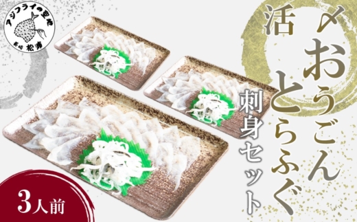 活〆おうごんとらふぐ刺身3人前セット( 長崎県産 おうごんとらふぐ とらふぐ とらふぐ刺身 高品質 )【095-0003】