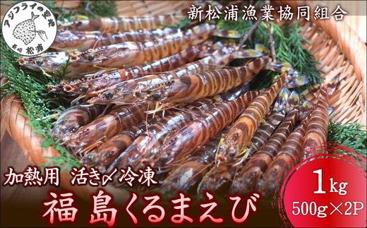 加熱用 活き〆冷凍福島くるまえび1kg(500g×2パック)( 車エビ クルマエビ くるまえび えび エビ 海老 加熱用 )【152-0010】