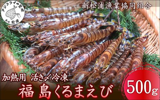 加熱用 活き〆冷凍福島くるまえび500g( 車エビ クルマエビ くるまえび えび エビ 海老 加熱用 )【152-0006】