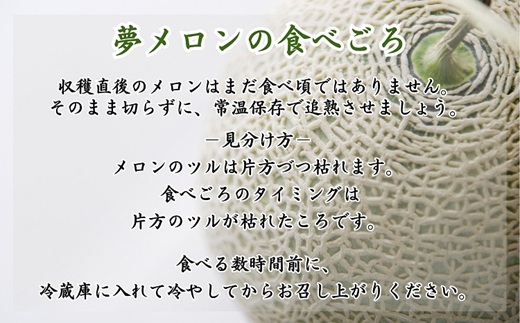 1.4kg以上！大玉アールスメロン　夢メロン2玉入り( メロン 大玉 夢メロン アールスメロン )【B0-202】