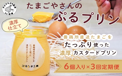 【3か月定期便】たまごやさんのぷるプリン 6個入(濃厚仕立て)×3回 ( 新鮮 赤たまご ぷりん プリン 濃厚 カスタード　定期便 )【999-0001】
