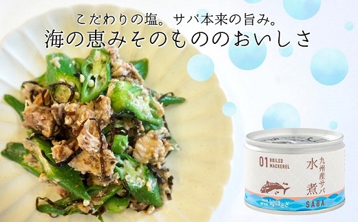 缶詰工場直送　伝統のさば缶「旬ほとぎ」水煮12缶( サバ さば 鯖 鯖缶 サバ缶 さば缶 缶 缶詰 魚 アウトドア BBQ バーベキュー キャンプ 常備食 緊急 災害 非常食 保存食 非常時 御歳暮 お歳暮 お中元 御中元 贈答 プレゼント 贈り物 ギフト 母の日 お母さん 保存食 非常食 防災 備蓄 長期保存 )【B2-188】