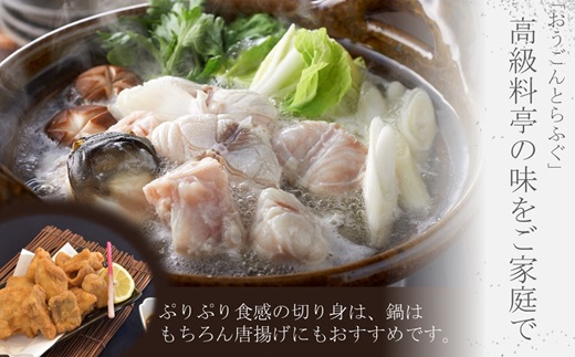 活〆おうごんとらふぐ満腹鍋セット【095-0006】