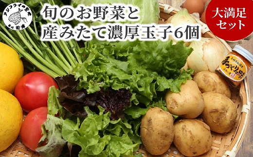 道の駅松浦海のふるさと館『旬のお野菜＋産みたて濃厚玉子6個』の大満足セット！【004-0002】