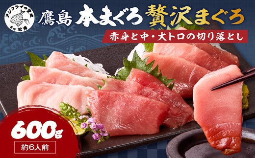 鷹島産本まぐろ 贅沢まぐろ たっぷり2人前(赤身と中・大トロの切り落とし200g)×3パック( まぐろ マグロ 鮪 大トロ 中トロ 赤身 本まぐろ 切り落とし 簡単解凍 )【134-0031】